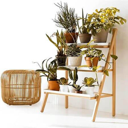 Collection image for: Maison | Jardin